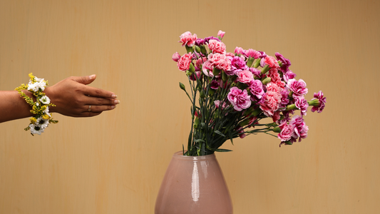 Hand selecting vibrant pink carnations arranged in a pastel vase, highlighting the art of choosing fresh flowers for decor and special moments.