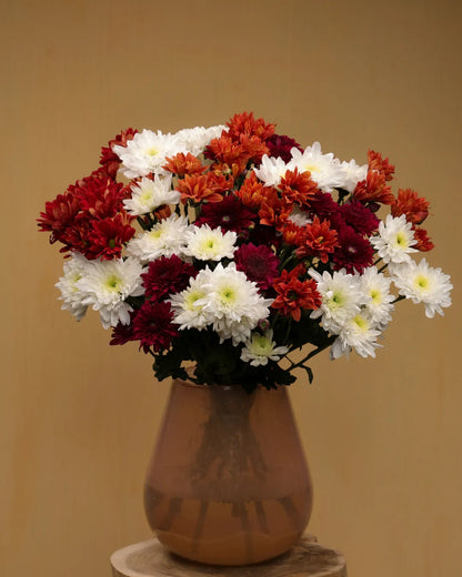 Chrysanthemum Fantasy