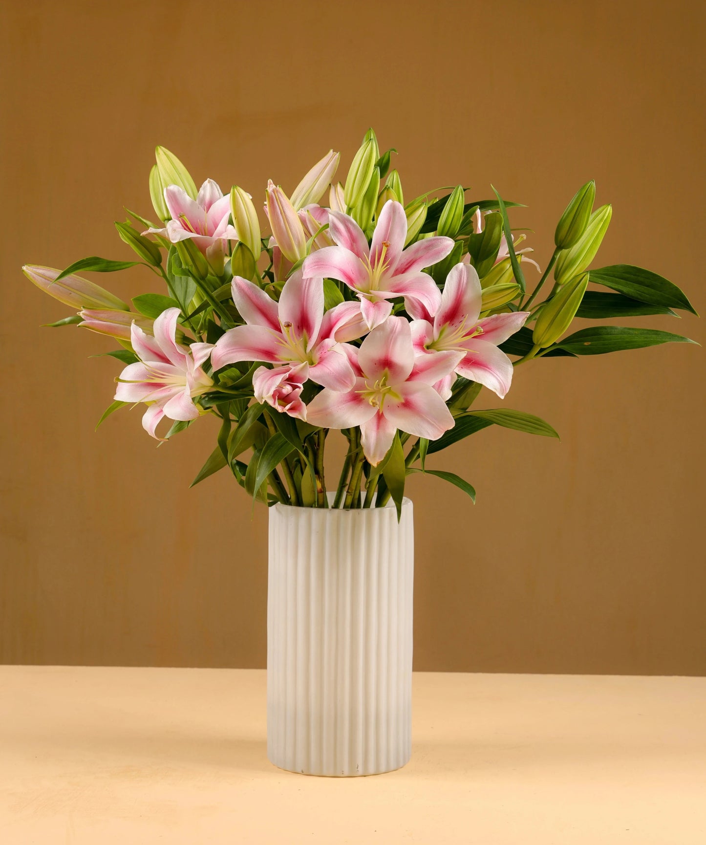 Oriental Lilly