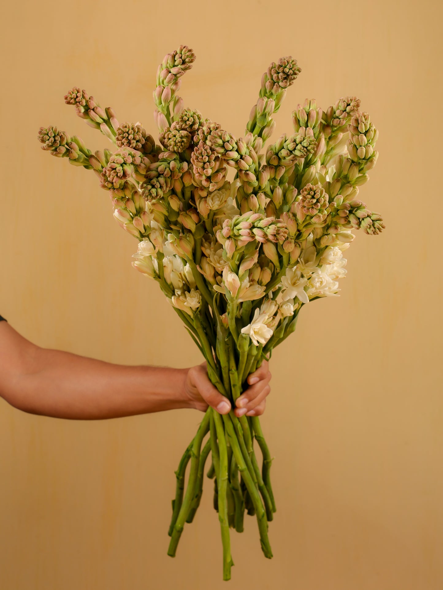 Tuberose