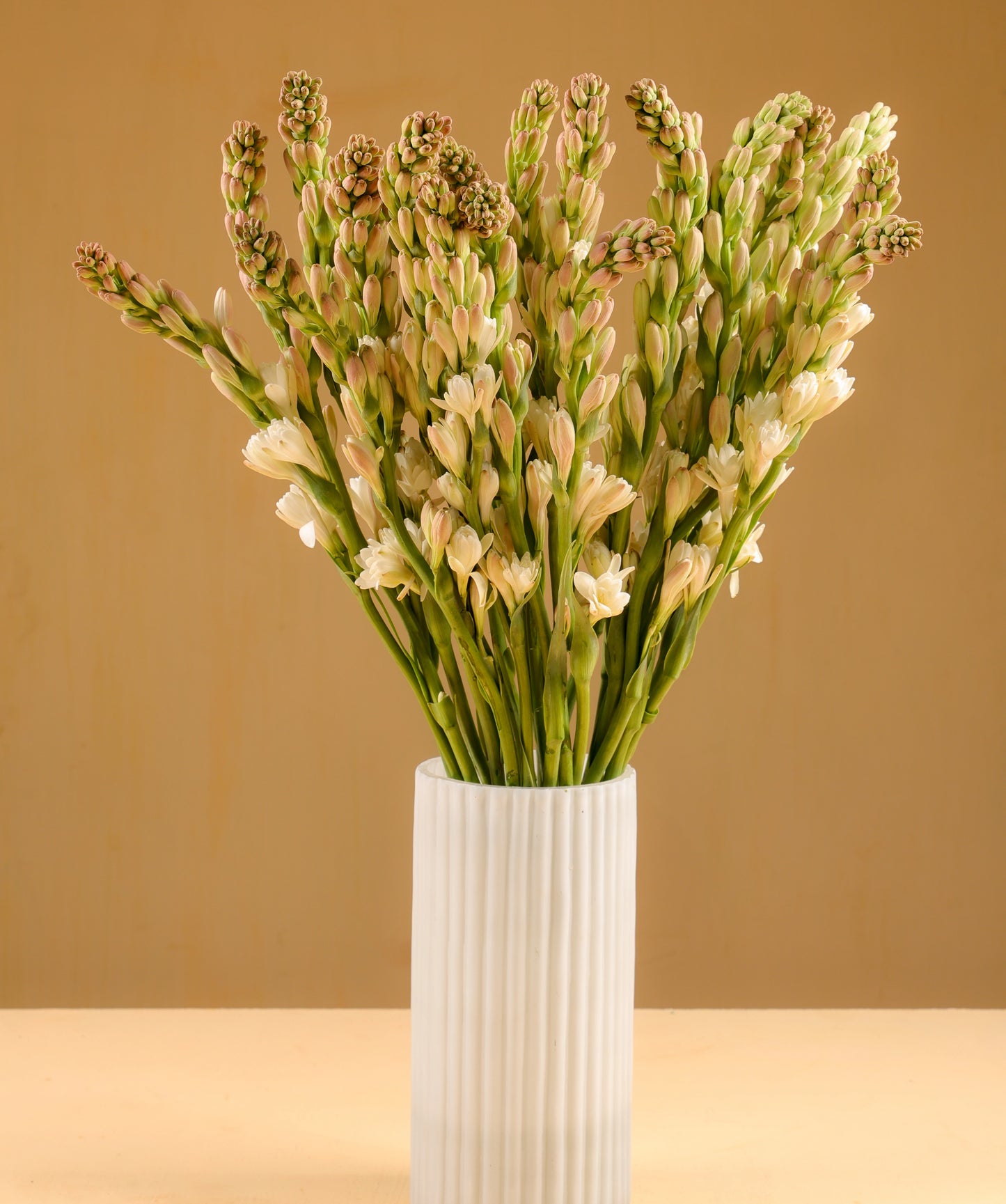 Tuberose