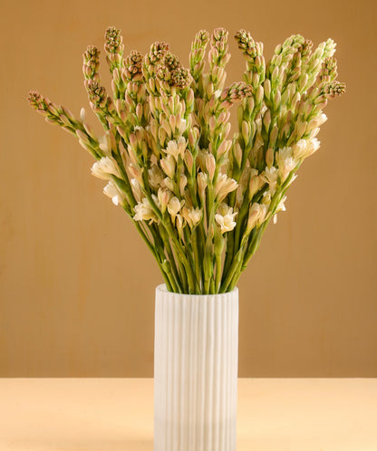 Tuberose